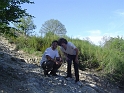 rass_2008 (4)